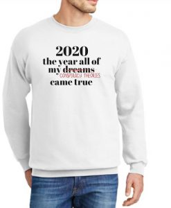 2020 Conspiracy Theory graphic Sweatshirt